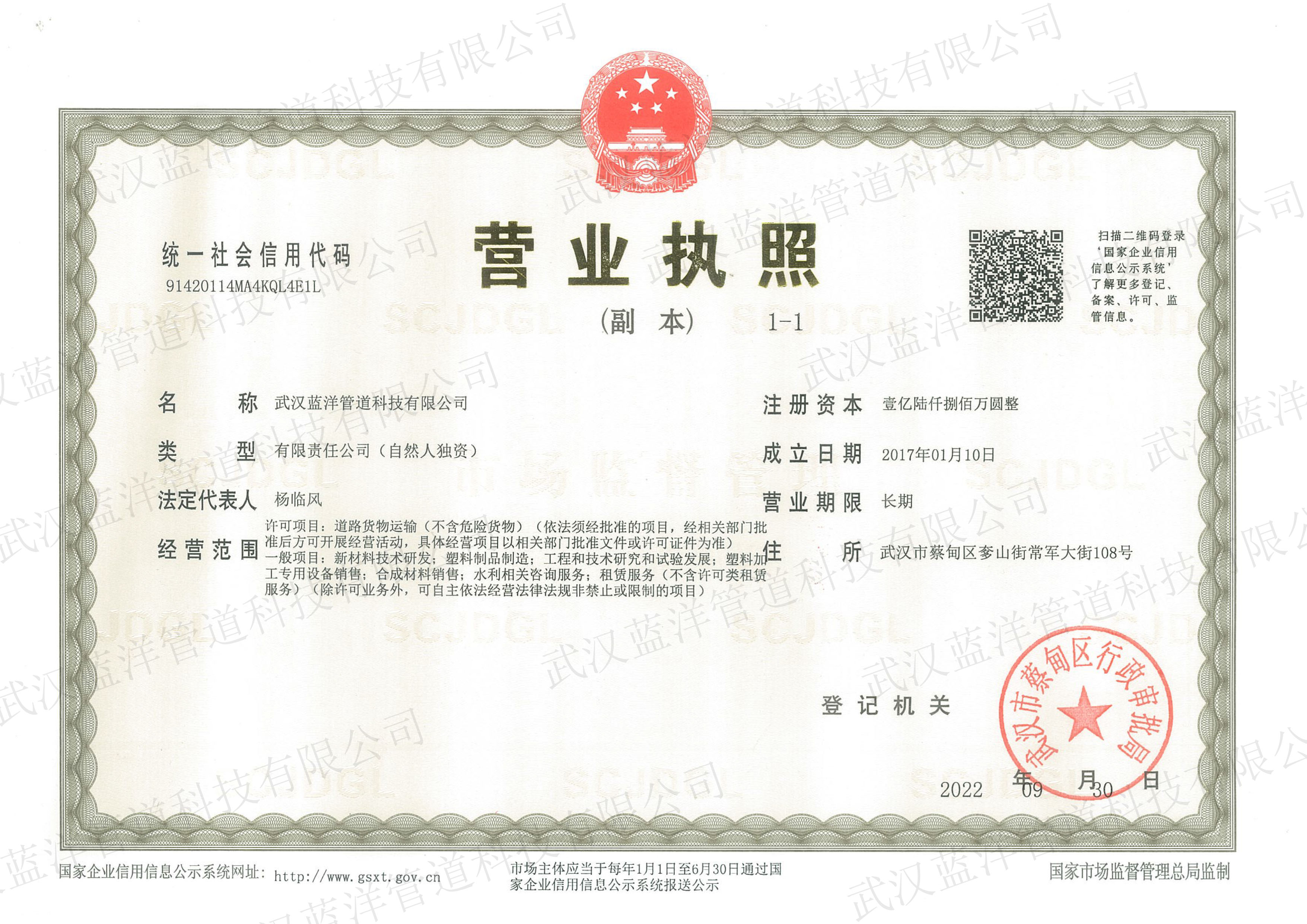 武漢藍洋營業(yè)執(zhí)照.jpg